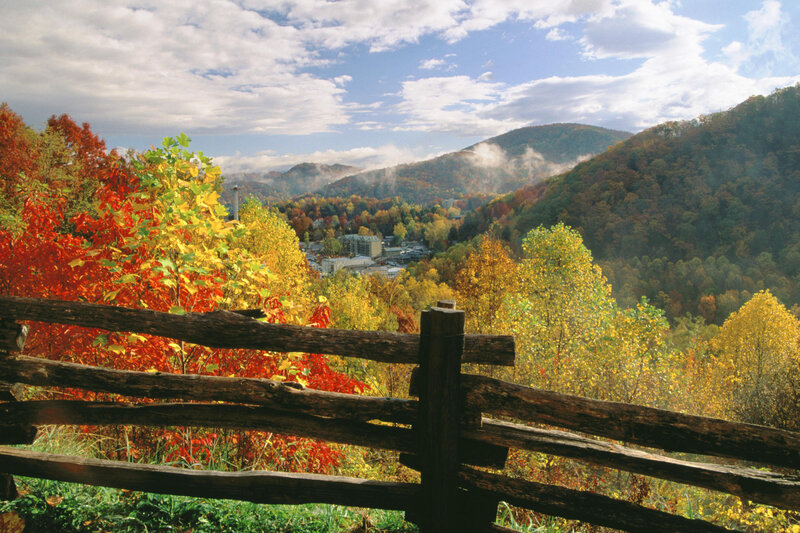 Autumn foliage in the mountains