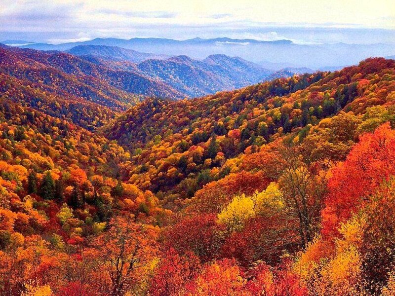 autumn foliage in the mountains