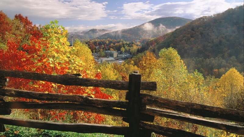 Autumn foliage in the mountains