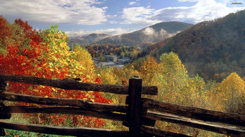 Autumn Foliage in Valley — Red