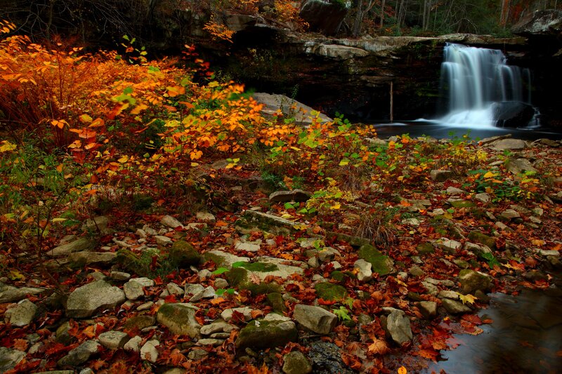 Autumn Foliage Near Waterfall