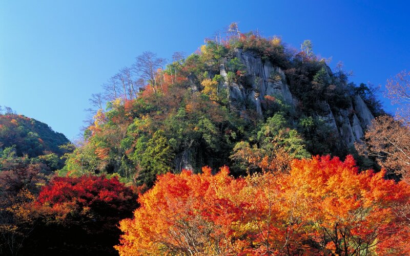 Autumn foliage on a rocky hill
