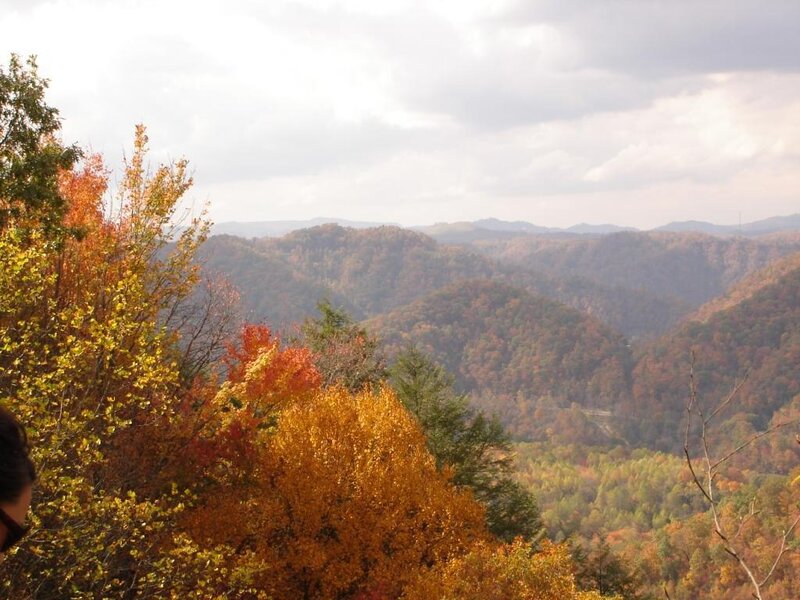 Autumn Foliage on Hills