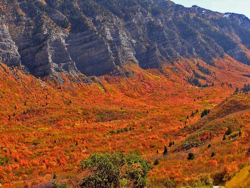 autumn foliage on mountain slopes