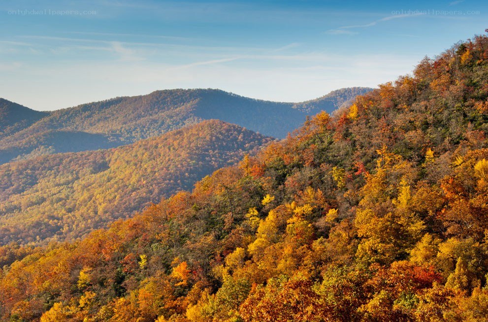 Autumn foliage on mountain slopes