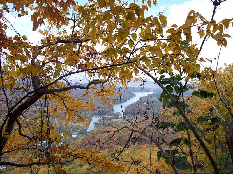 Autumn Foliage over Lake