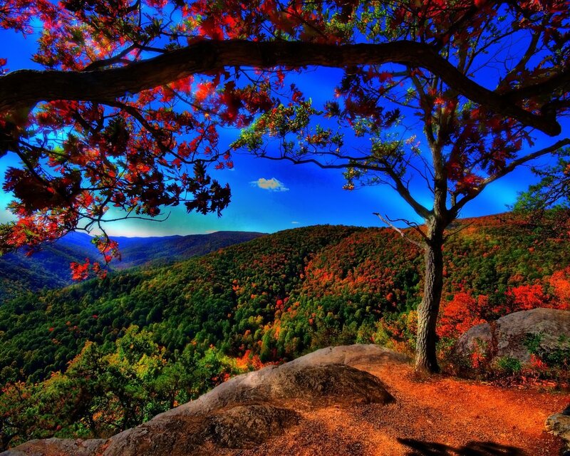Autumn foliage over mountain valley