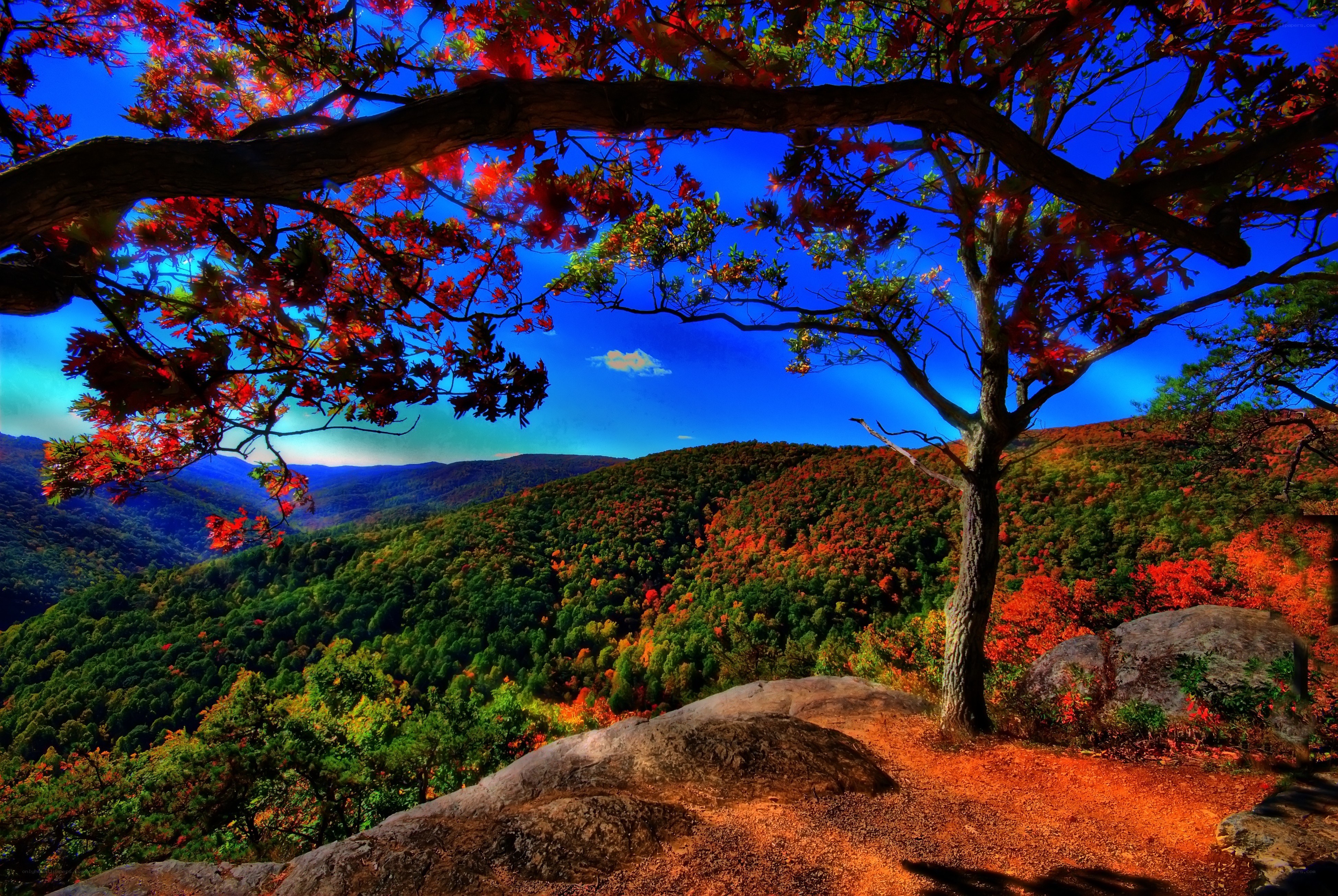 Autumn foliage over mountain valley