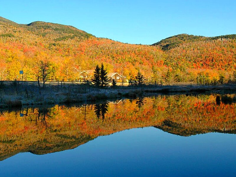 Autumn foliage reflected in a lake
