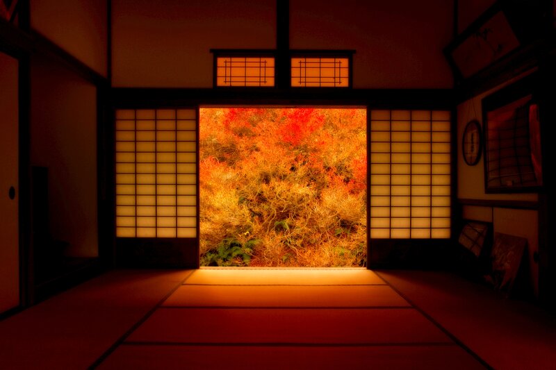 Autumn Foliage Through Door