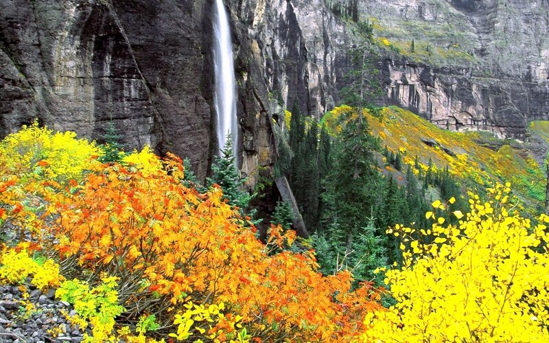 Autumn Foliage Waterfall — Yellow, Serene