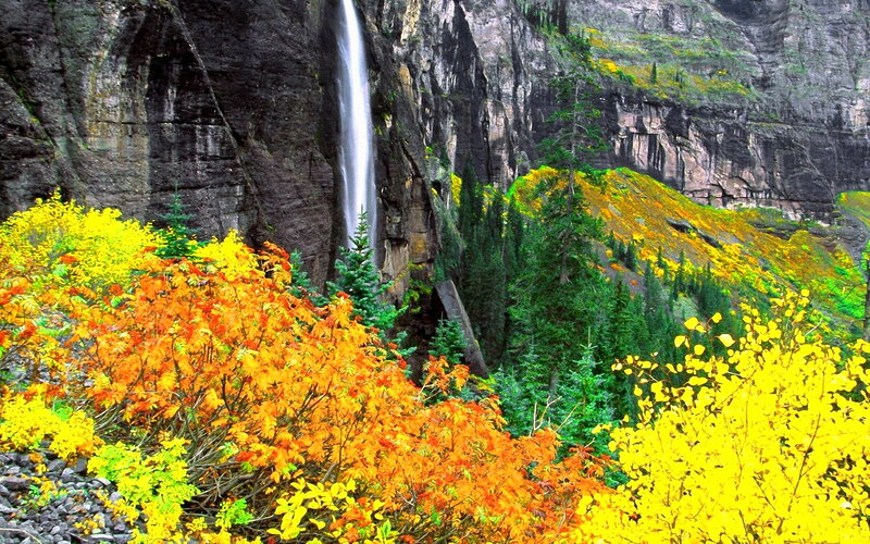 Autumn Foliage Waterfall — Yellow