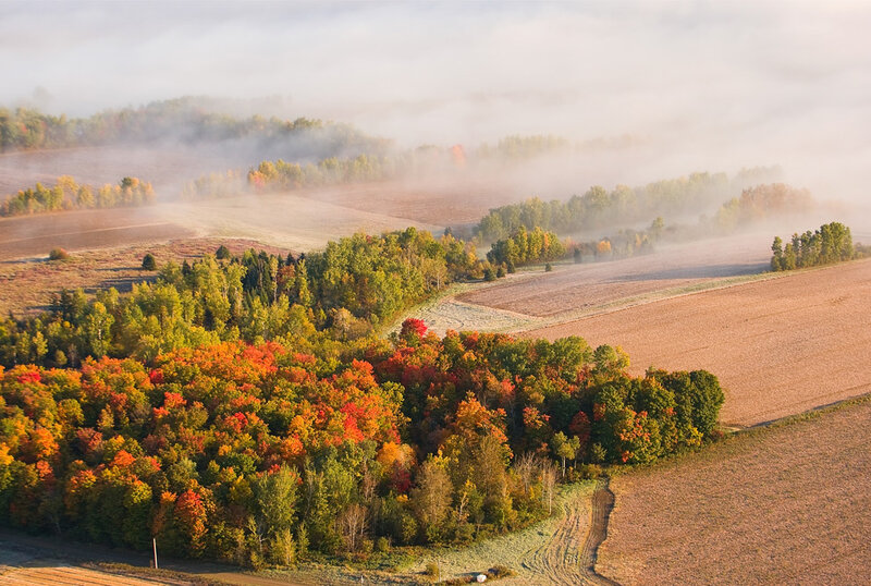 Autumn Forest and Fields — Orange