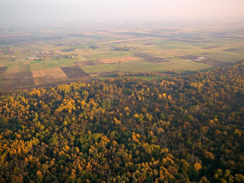 Autumn forest and fields