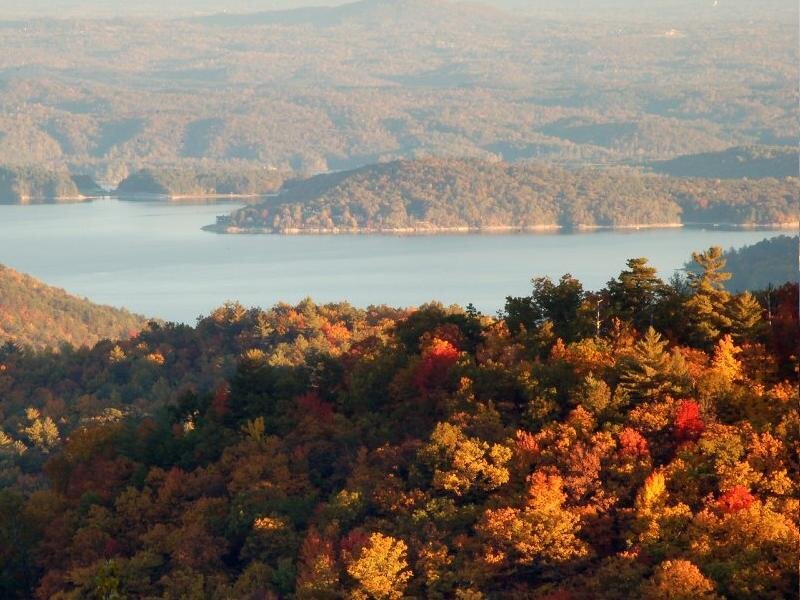 Autumn Forest and Lake