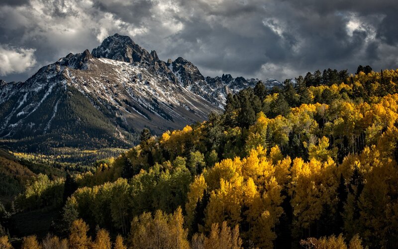 Autumn Forest and Mountain