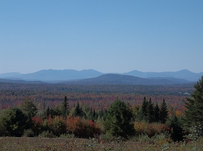 Autumn Forest and Mountains — Blue