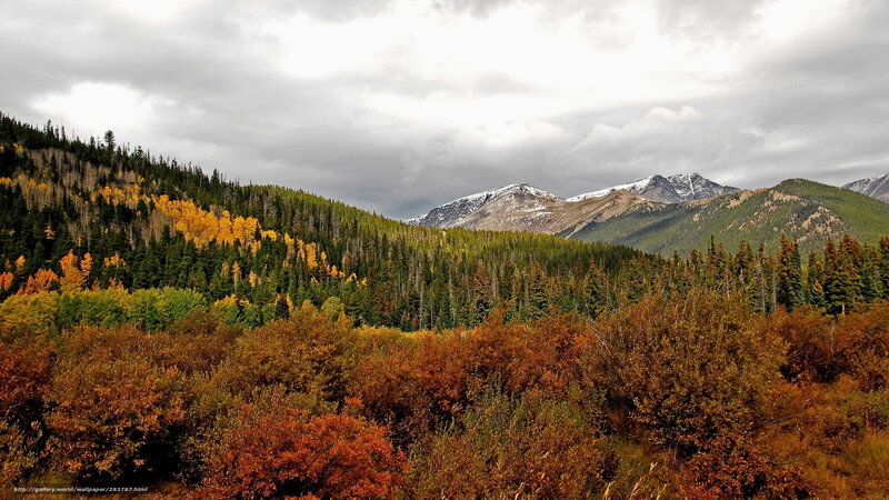 Autumn Forest and Mountains — Green
