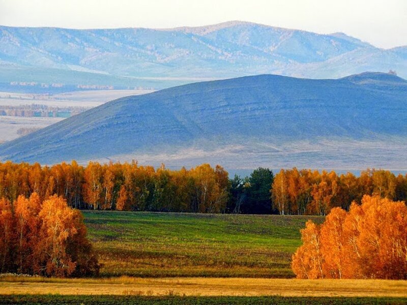 Autumn Forest and Mountains — Orange, Serene