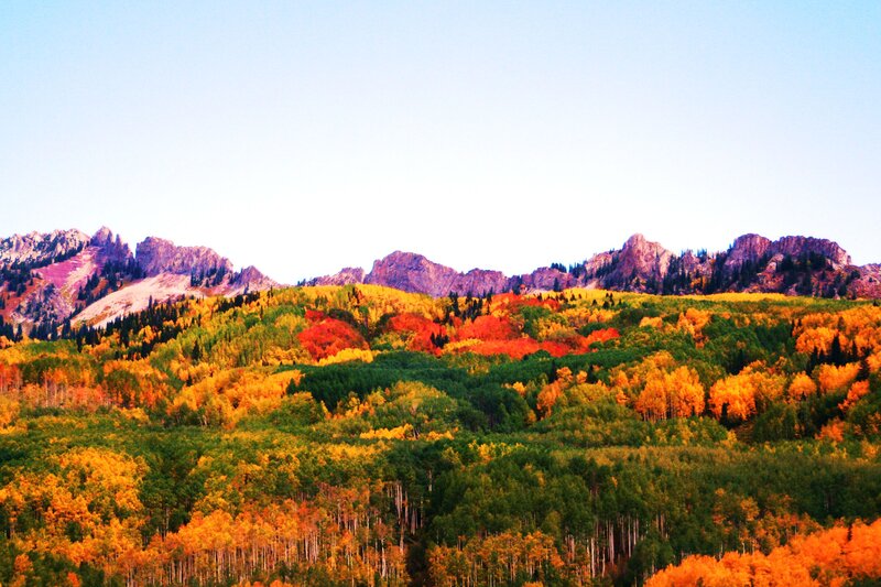 Autumn Forest and Mountains — Orange