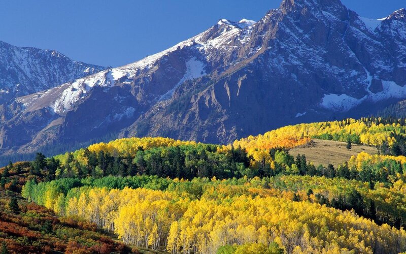 Autumn Forest and Mountains