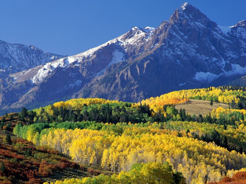 Autumn Forest and Mountains — Yellow, Serene
