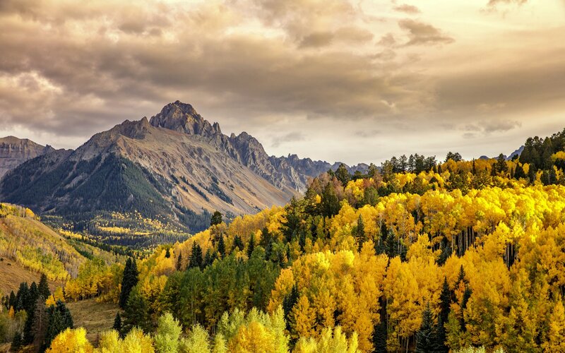 Autumn Forest and Mountains — Yellow