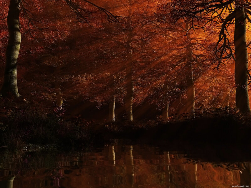 Autumn Forest at Dusk — Orange, Dramatic, Sunset, Digital Art