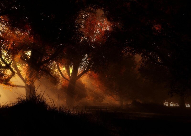 Autumn Forest at Dusk — Orange