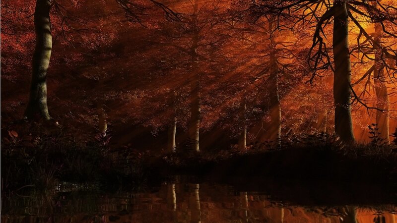 Autumn Forest at Dusk