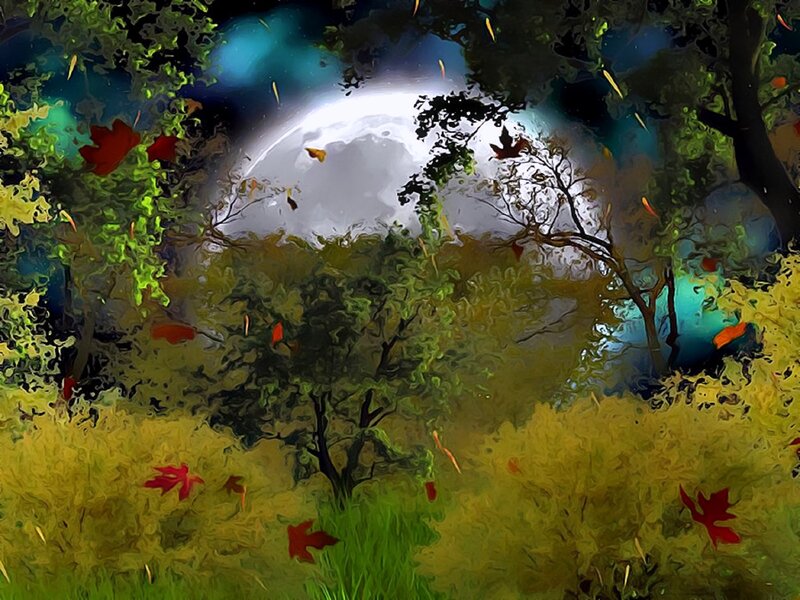 Autumn Forest at Night — Green