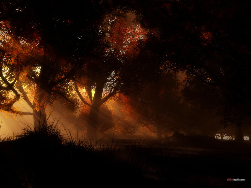 Autumn Forest at Sunrise — Orange, Serene, Digital Art, Trees