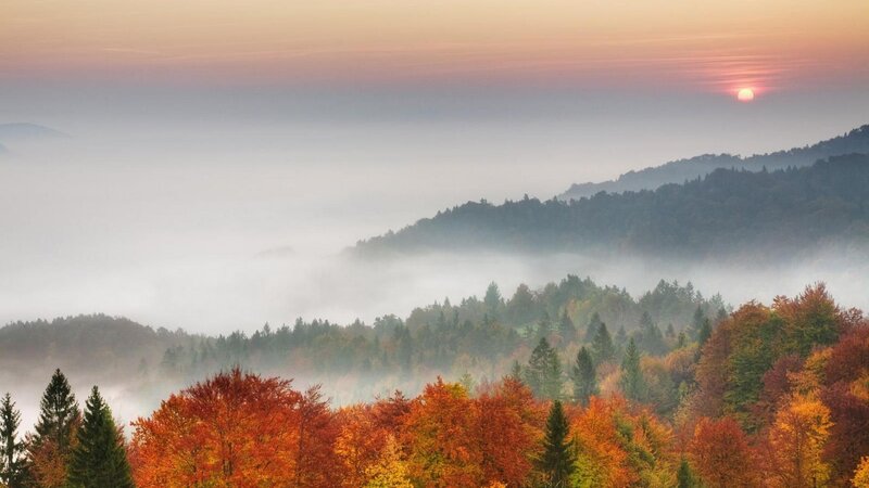 Autumn Forest at Sunrise — Orange, Serene, Photograph, Mountains