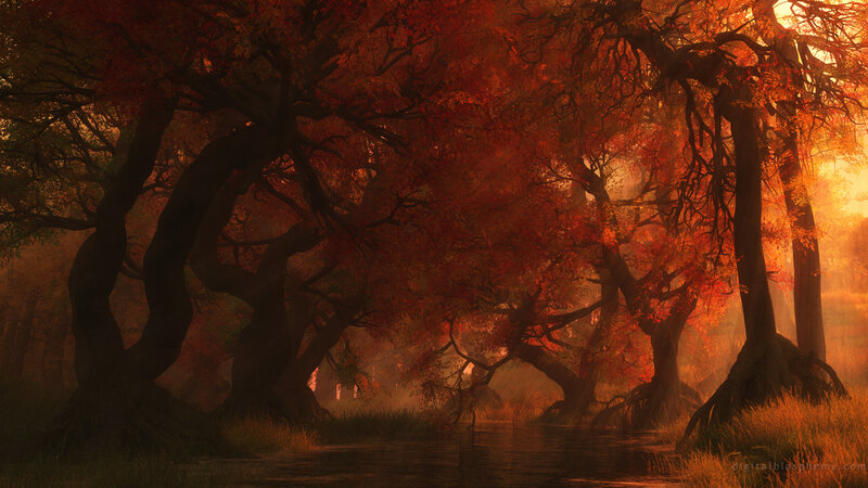 Autumn forest at sunset