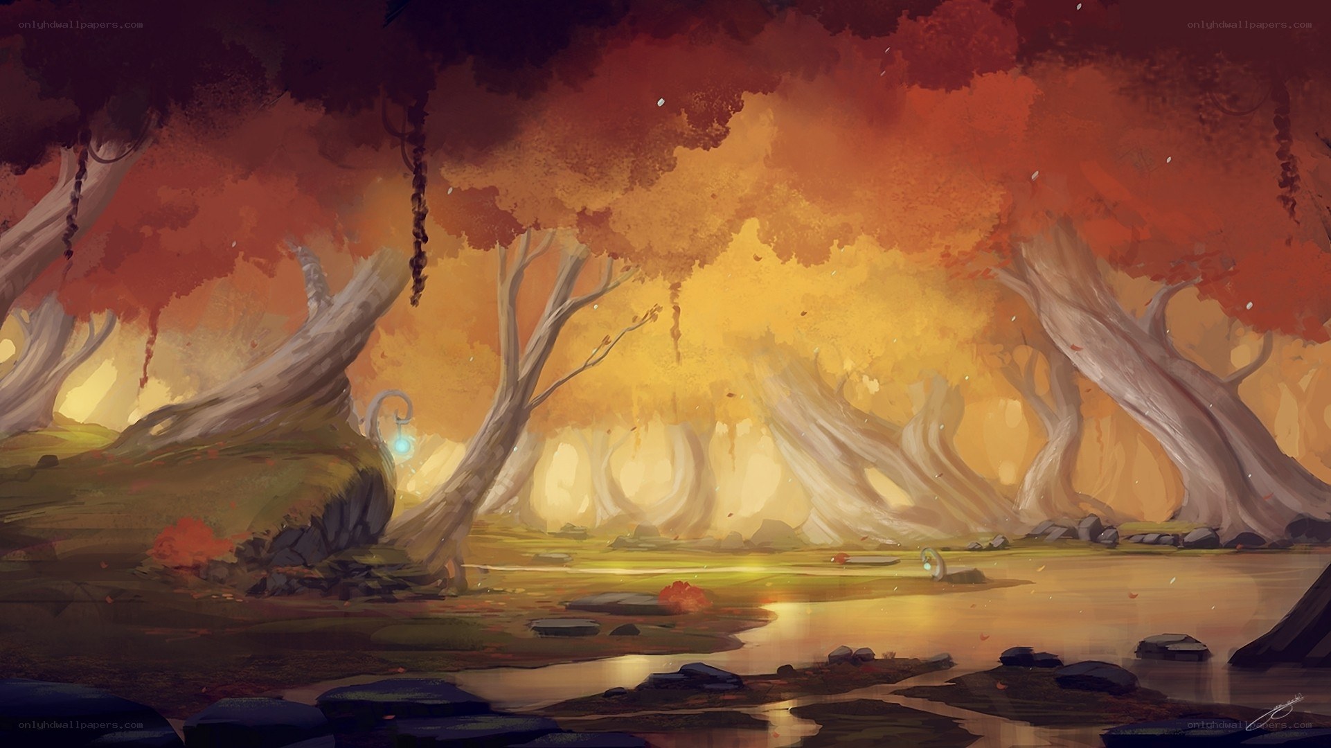 Autumn forest at sunset