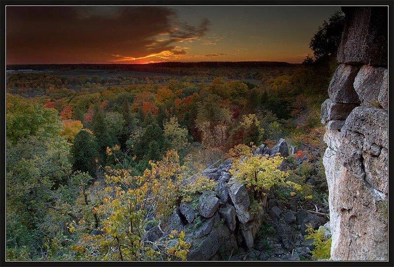Autumn Forest at Sunset — Orange, Dramatic