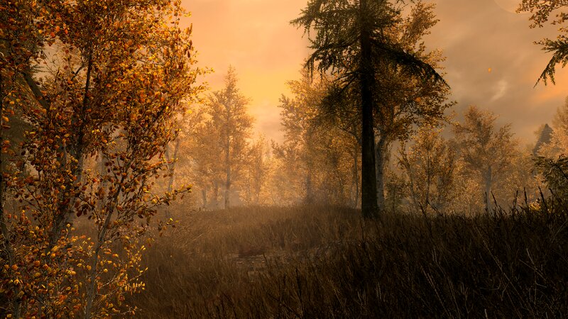 Autumn Forest at Sunset — Orange, Serene, 3d Render