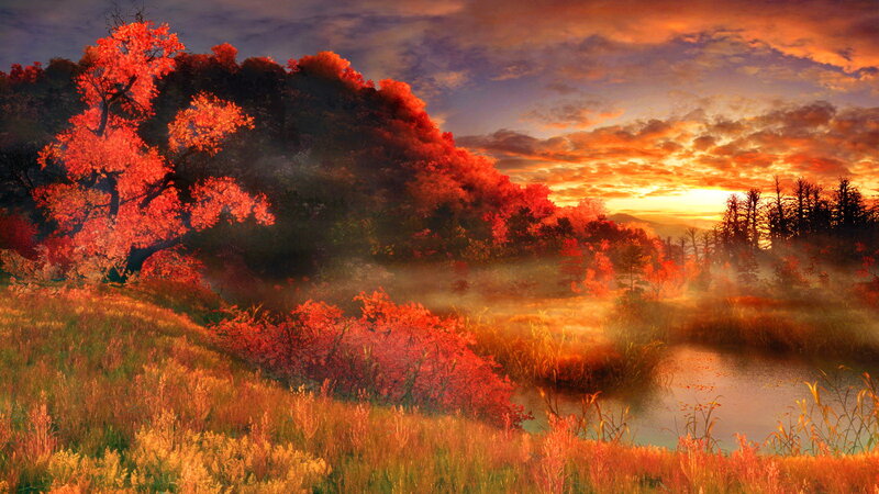 Autumn Forest at Sunset — Orange, Serene, Digital Art