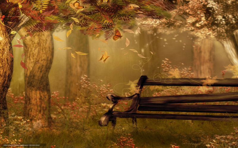 Autumn forest bench scene