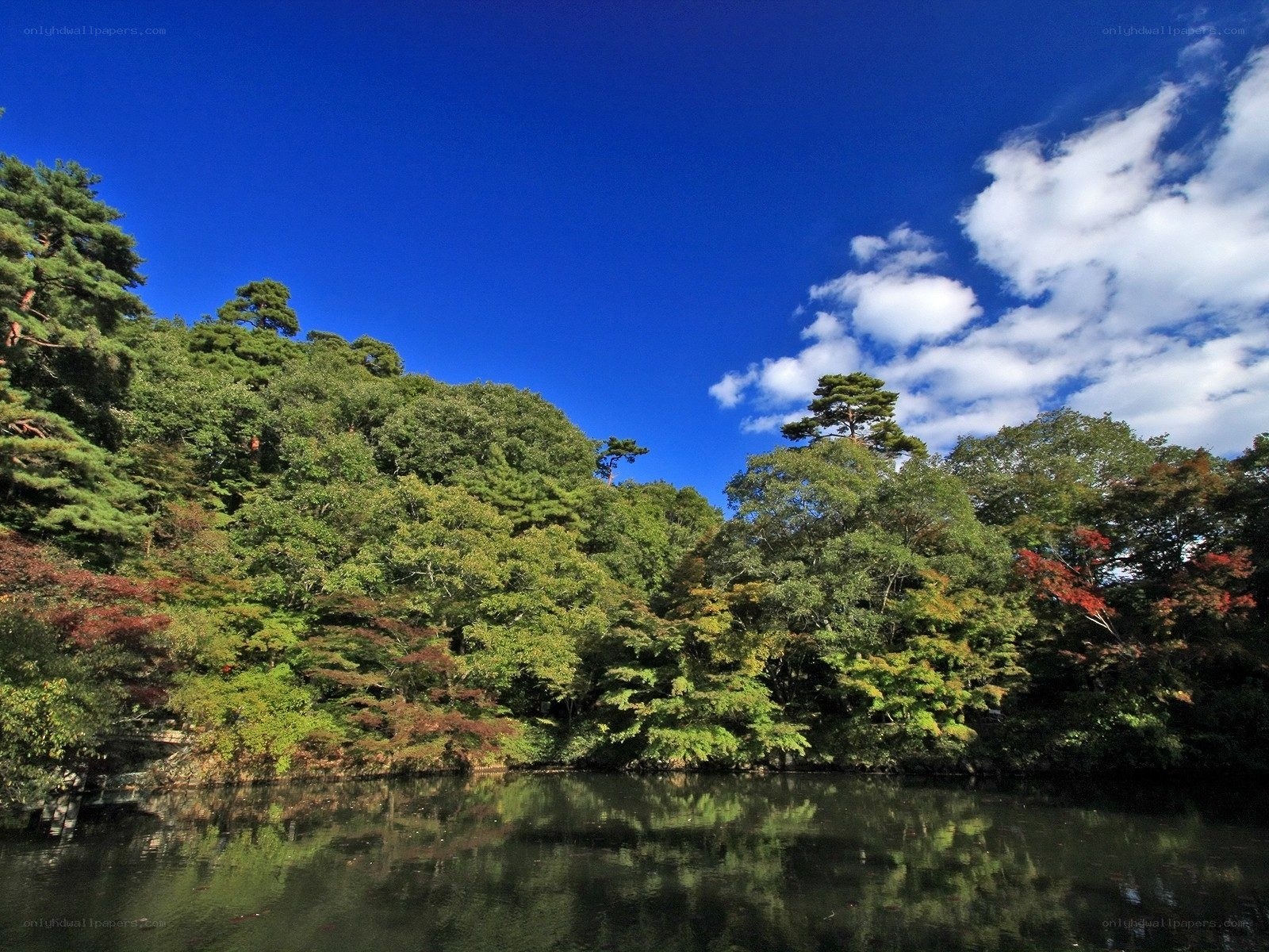 Autumn forest by a calm lake