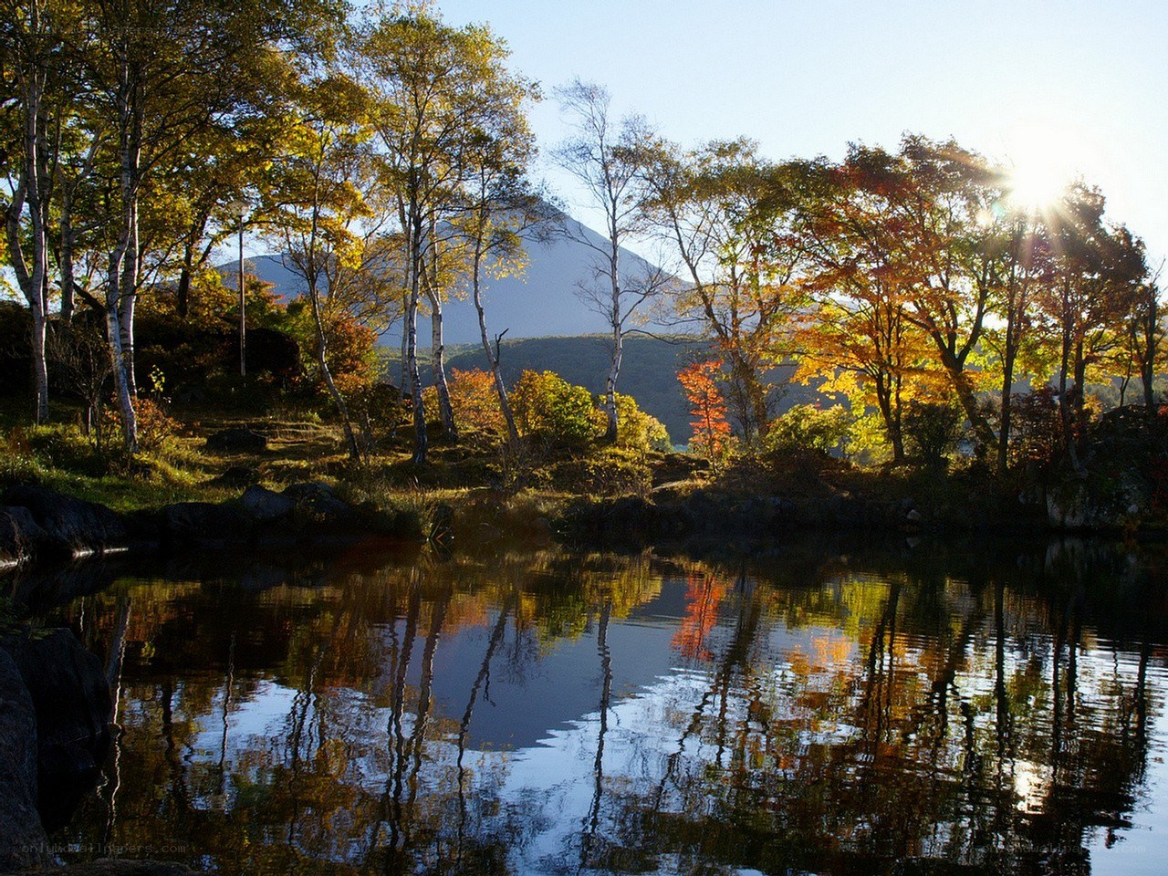 Autumn forest by a lake