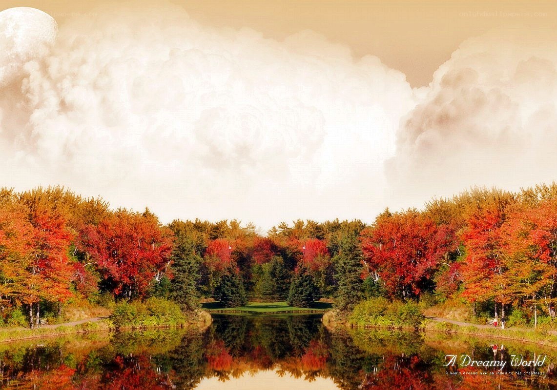 Autumn forest by a lake