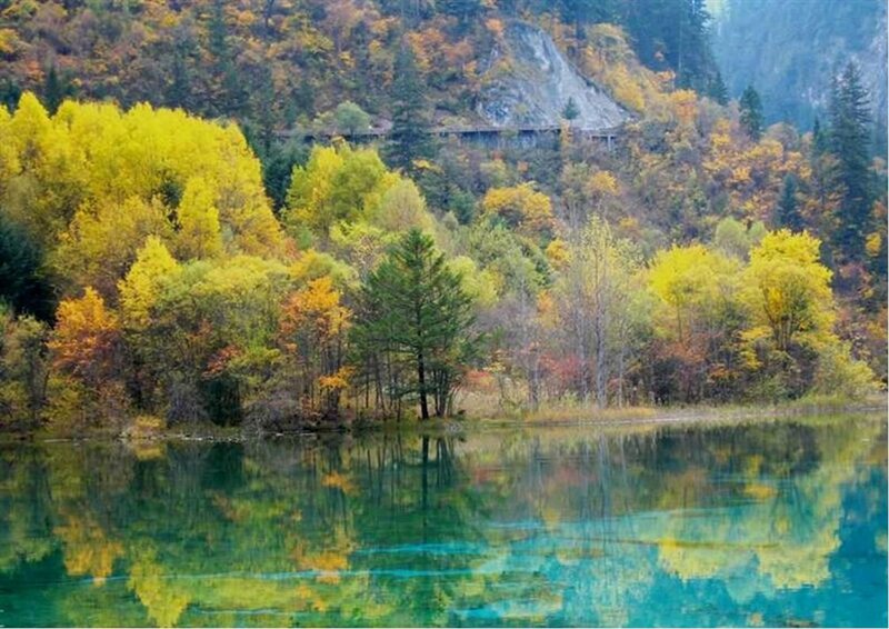 Autumn forest by a lake