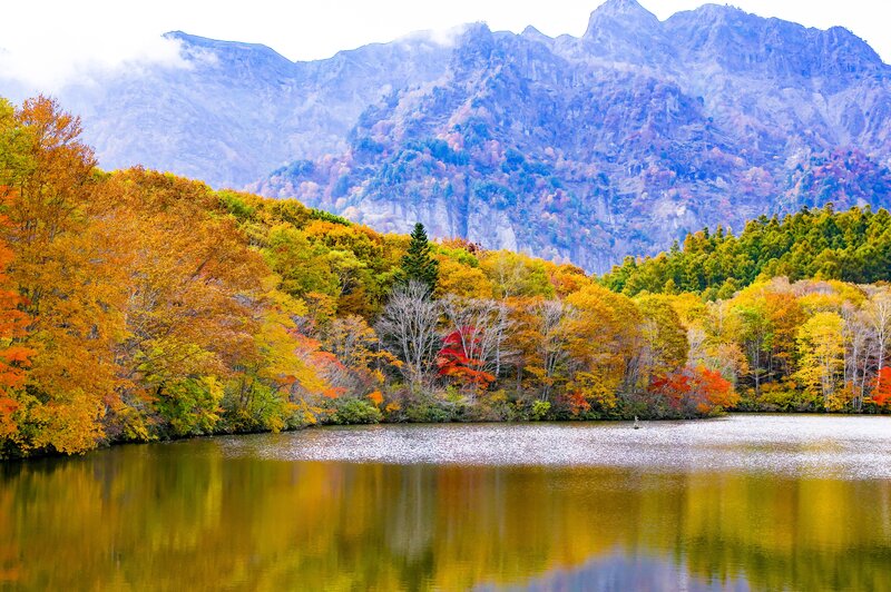 Autumn forest by a lake