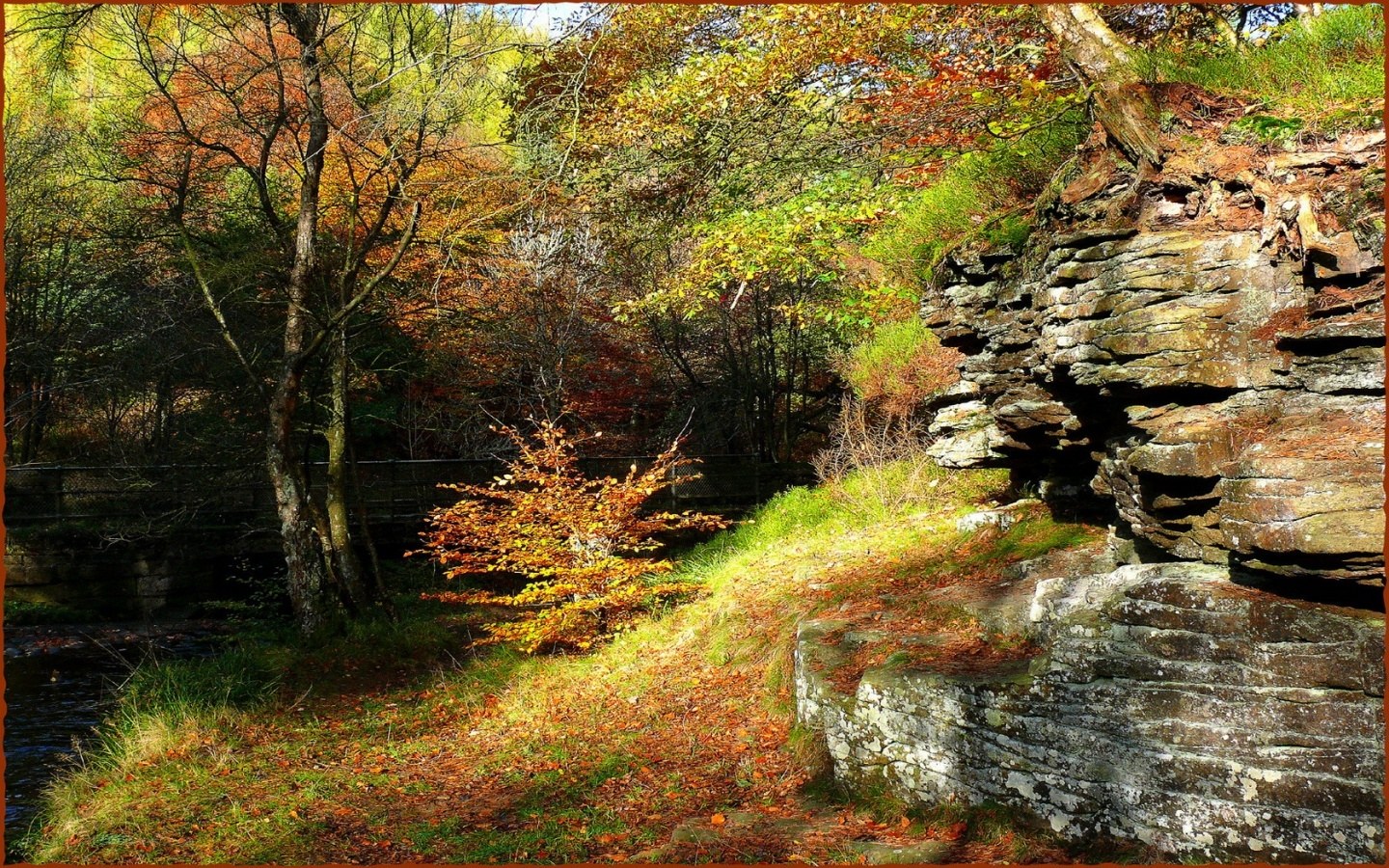 Autumn forest by a river