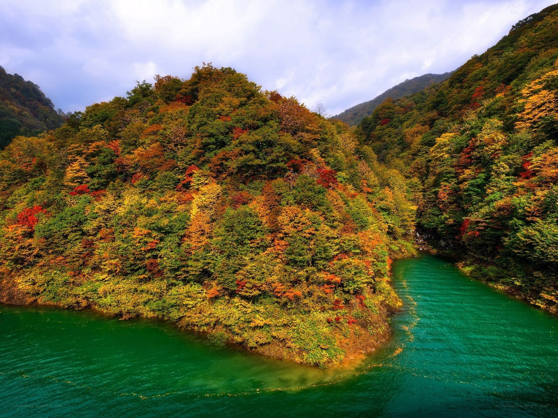 Autumn forest by a river