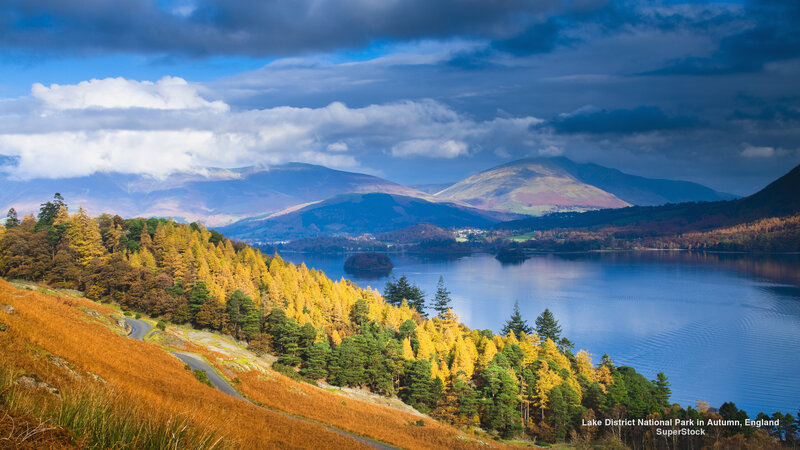 Autumn Forest by Lake — Blue, Dramatic