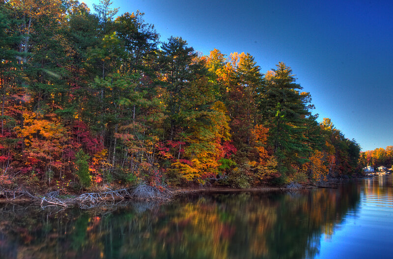 Autumn Forest by Lake — Blue, Serene, Photograph