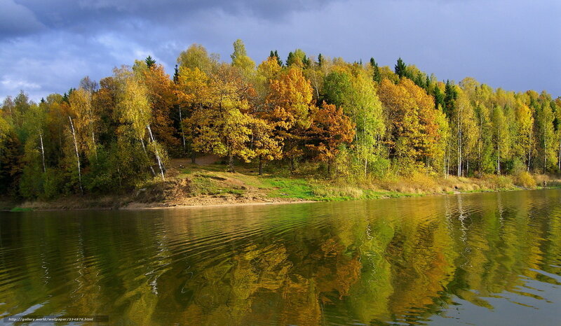 Autumn Forest by Lake — Green, Dramatic, Photograph