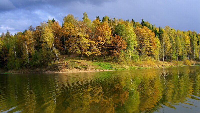 Autumn Forest by Lake — Green, Dramatic, Photograph, Trees